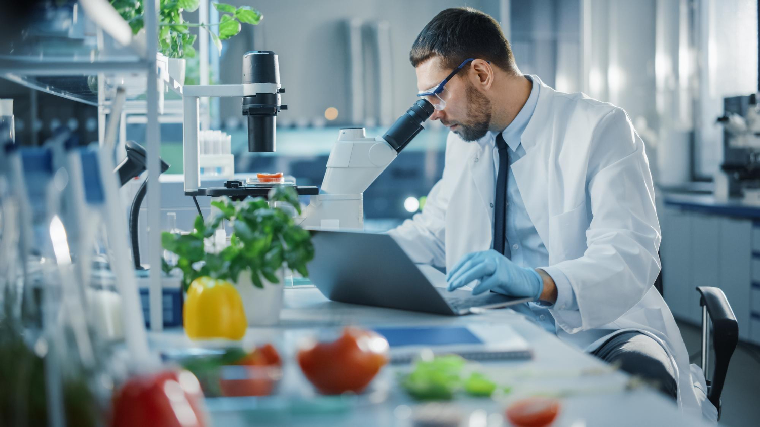 LIMS Software for for ayurvedic and herbal medicines testing